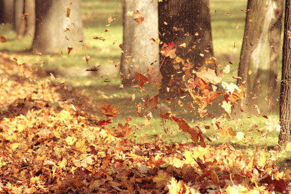 Meteoroloji'den 'kuvvetli rüzgar' uyarısı