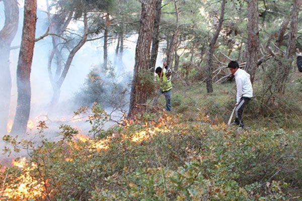 Balıkesir'de korkutan orman yangını