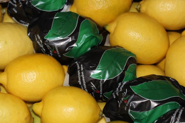 Rusya'dan Türkiye ile ilgili yeni karar