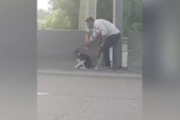 Sosyal medyada fenomen oldu