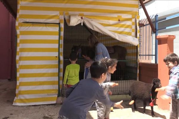 Hayvanat bahçesi gibi anaokulu