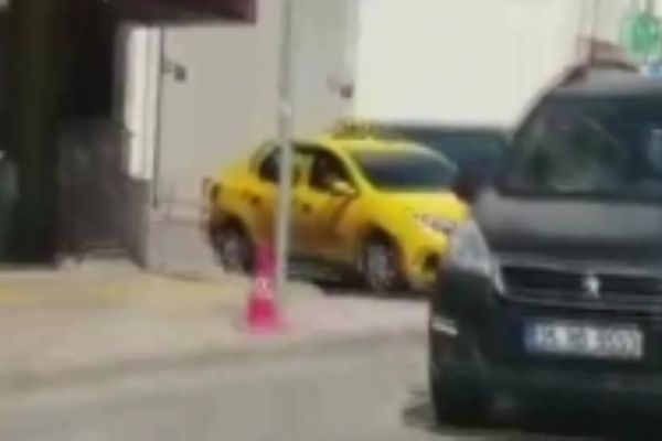 Kaçan boğalar, ortalığı birbirine kattı