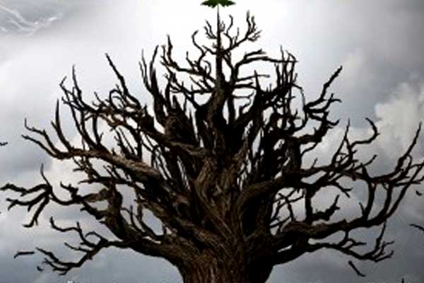 Vuslat Dergisi Haziran sayısı çıktı