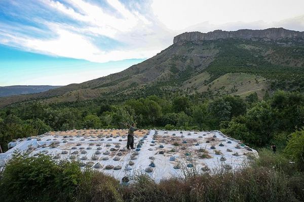 Dağlar teröristlerden temizlendi Şemdinli huzura kavuştu