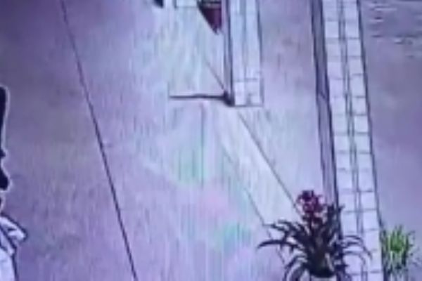 Sınıfta dev yılan paniği