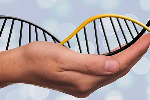 DNA robotlarının kontrolü için yeni sistem geliştirildi
