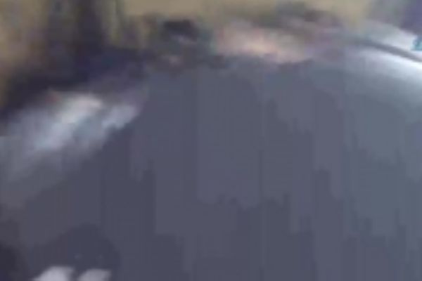 Horoz dövüştürenlere baskın anı