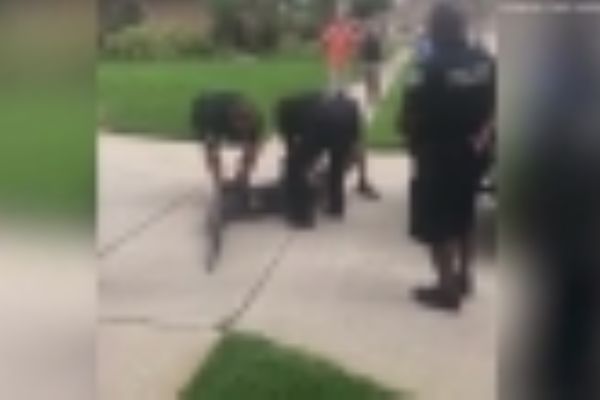 Timsah polisi tek hamlede yere serdi