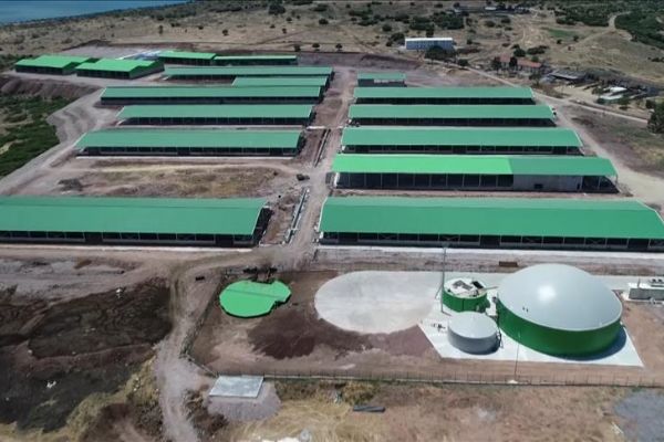 Cezaevi arazisinde kurulan biyogaz tesisi 1,5 milyon liralık katma değer yaratacak