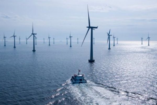 Berat Albayrak tarih verdi! Dünyanın en büyüğü olacak