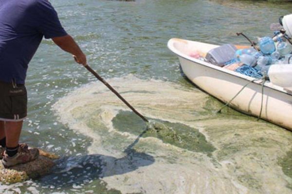 Bafa Gölü'de 4 sene sonra tekrar kirliliğe teslim oldu