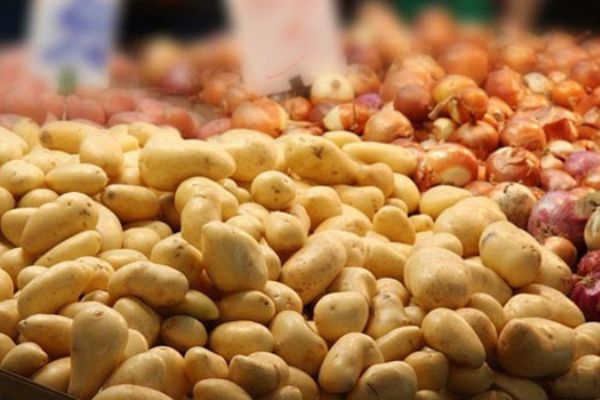 15-20 gün içerisinde patates ve soğan 1-1,5 liraya düşecek