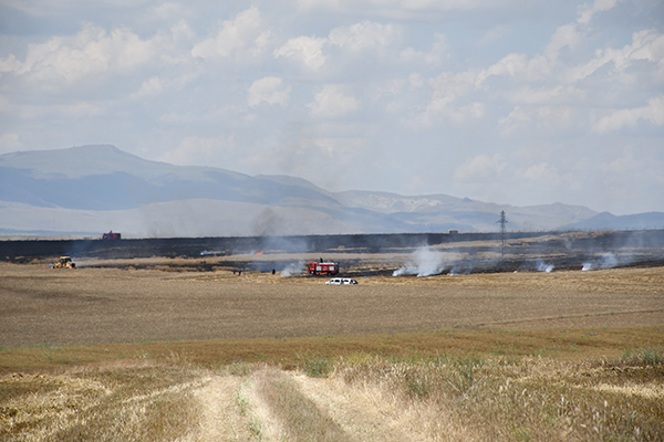 Konya'da buğday tarlasında yangın çıktı