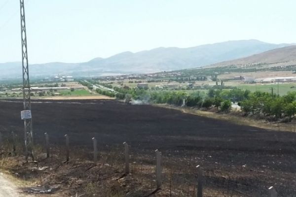 Elazığ'da sigara izmariti 80 dönüm buğdayı kül etti