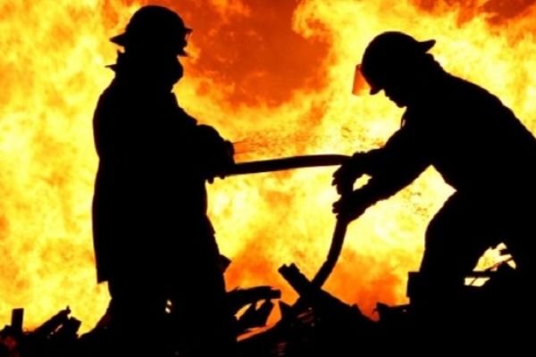 Park halindeki dolmuş alev alev yandı