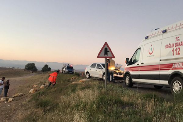 Otomobil koyun sürüsüne daldı; 20 koyun telef oldu