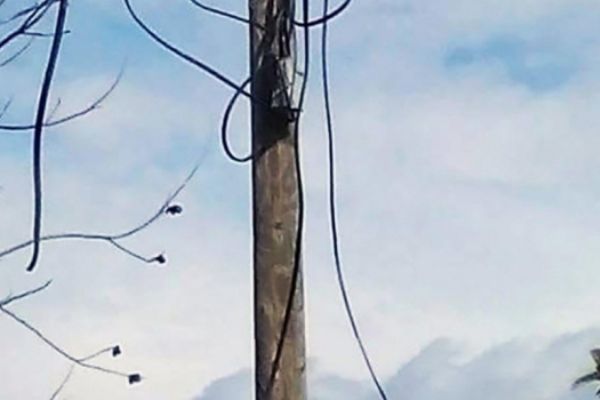 Kütahya'da hırsızlar, telefon direklerindeki kabloları çaldı