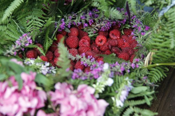 Bursa 4. Uluslararası Cumalıkızık Ahududu Festivali devam ediyor