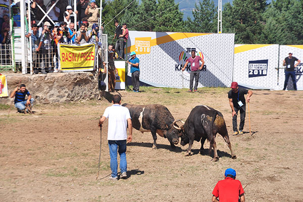 38. Kafkasör Kültür, Turizm ve Sanat Festivali başladı