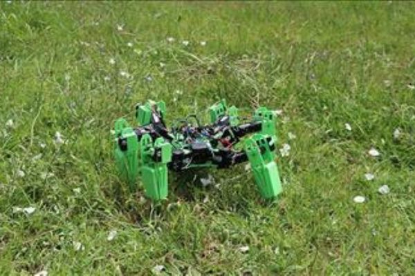 Askeri operasyonlar için örümcek robot geliştirdiler