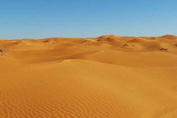 Sahra çölünde kaybolan minibüsteki 17 kişi ölü bulundu