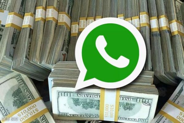 WhatsApp'tan 50 bin dolarlık araştırma fonu