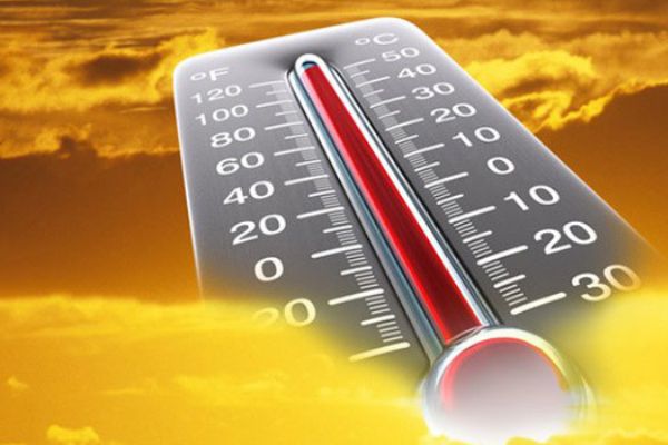 Kanada'da aşırı sıcaklar nedeniyle ölü sayısı 33'e yükseldi