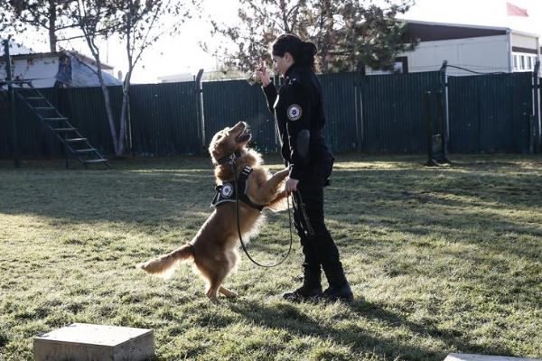 Hassas burunlar artık NEA'da yetişecek