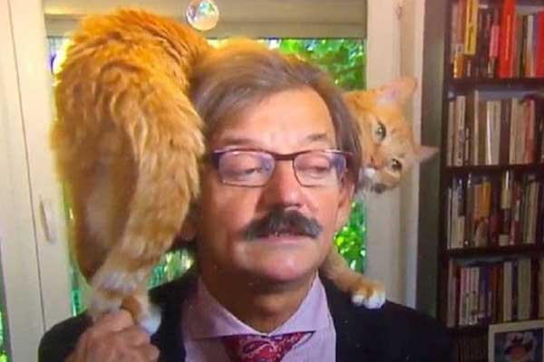 Polonyalı tarihçinin röportajına kedisi de dahil oldu