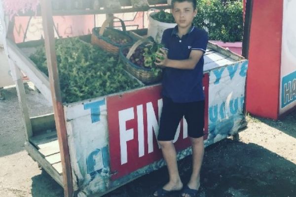 Yaş fındığın kilosu 15 TL