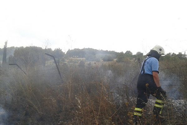 Tekirdağ'da piknik alanında 100 çam kül oldu