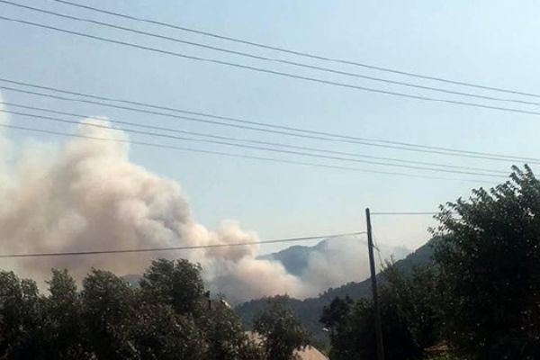 Muğla'da orman yangını yerleşim alanlarını tehdit ediyor