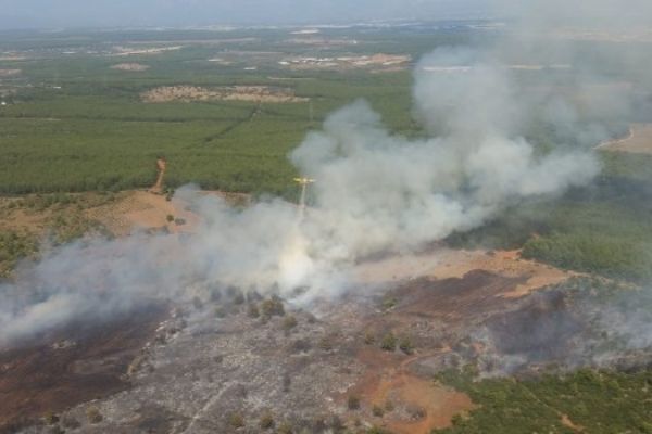 Antalya'da orman yangını