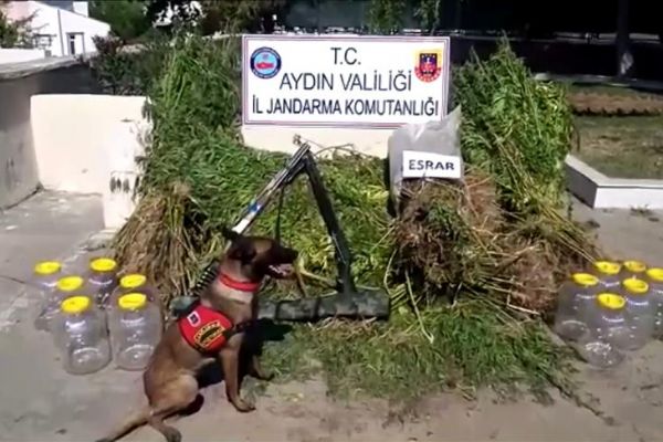 Kuşadası'nda uyuşturucu operasyonu