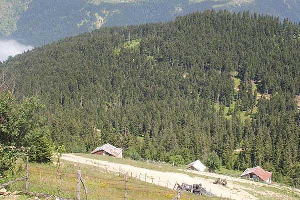 Uzman çavuş şehit oldu