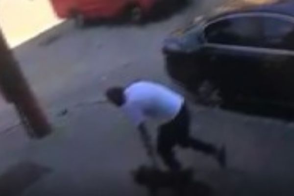 Köpek hırsızı kamerada