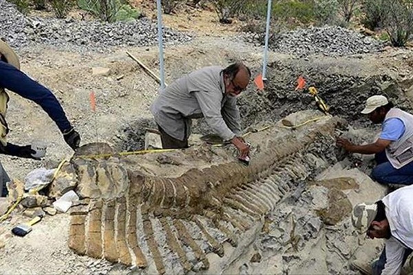 174 milyon yıllık dinozor fosili bulundu