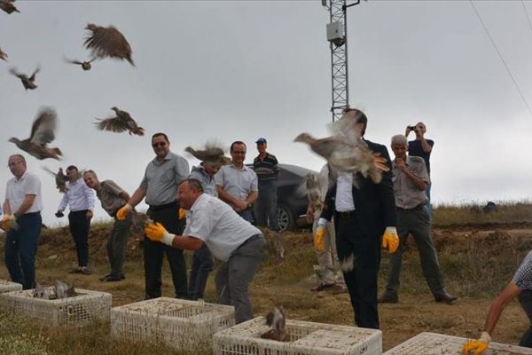 Tekirdağ'da bin keklik doğaya bırakıldı