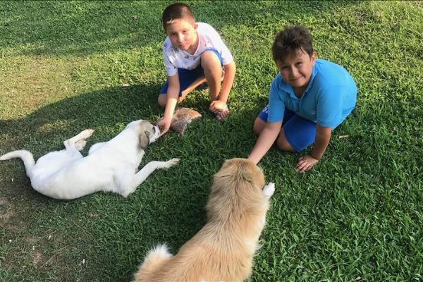 Küçük hayvanseverler sokak hayvanları için su satıyor