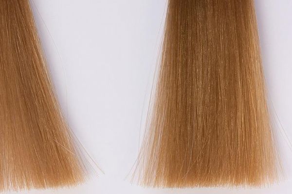 20 bin dolarlık takma saç hırsızlığı