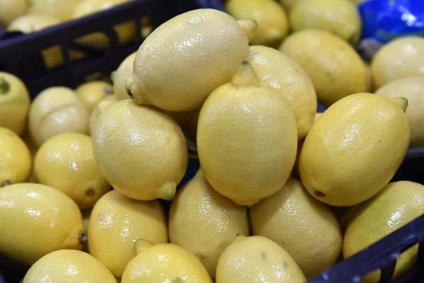 Temmuz ayının zam şampiyonu limon