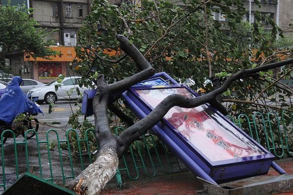 Çin'de tayfun alarmı