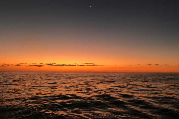 Kızıl Deniz'e akan petrol korkutuyor