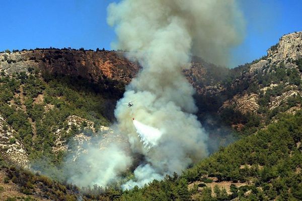 Muğla'da orman yangını