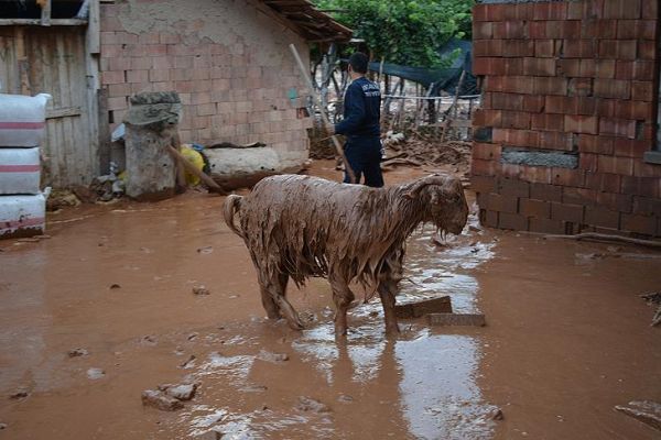 Elmalı'da sel ev ve ahırlara zarar verdi