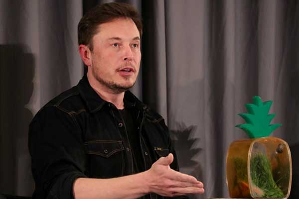 Elon Musk'tan sürpriz karar