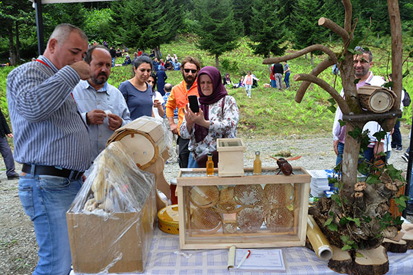 Artvin'deki 'Camili Saf Kafkas Arı ve Bal Festivali' sona erdi