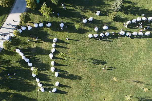 Başkentte 218 çift bir ömür için 'evet' dedi