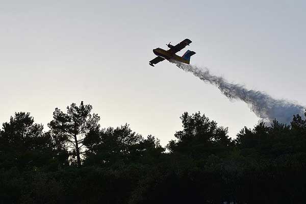Hatay'da orman yangını
