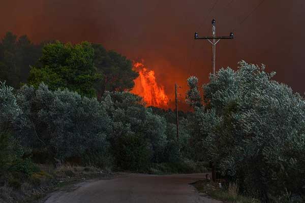 Yunanistan'da orman yangını